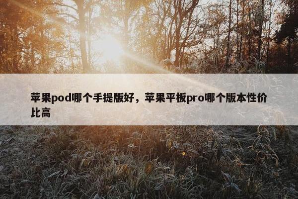苹果pod哪个手提版好,苹果平板pro哪个版本性价比高 苹果pod哪个手提版好,苹果平板pro哪个版本性价比高