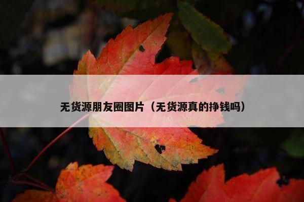 无货源朋友圈图片（无货源真的挣钱吗）