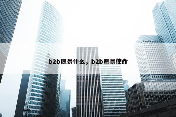 b2b愿景什么，b2b愿景使命