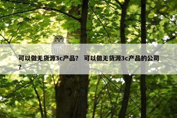 可以做无货源3c产品? 可以做无货源3c产品的公司? 可以做无货源3c产品? 可以做无货源3c产品的公司?