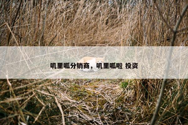 叽里呱分销商,叽里呱啦 投资 叽里呱分销商,叽里呱啦 投资