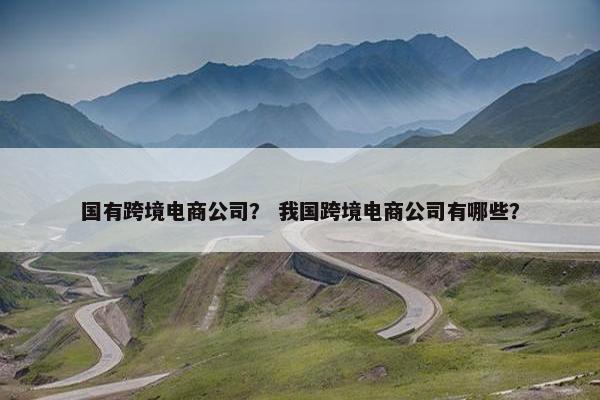 国有跨境电商公司？ 我国跨境电商公司有哪些？