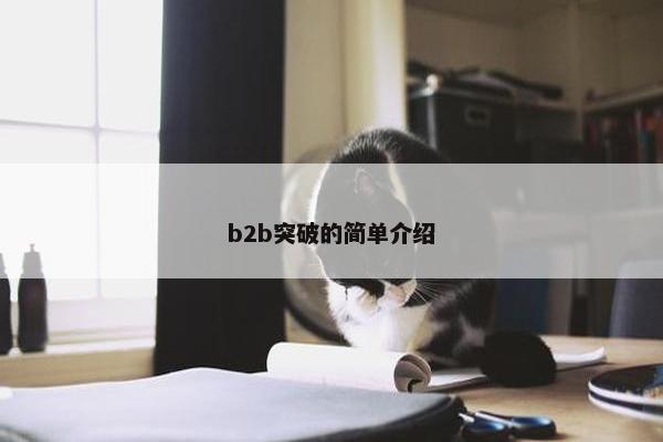 b2b突破的简单介绍