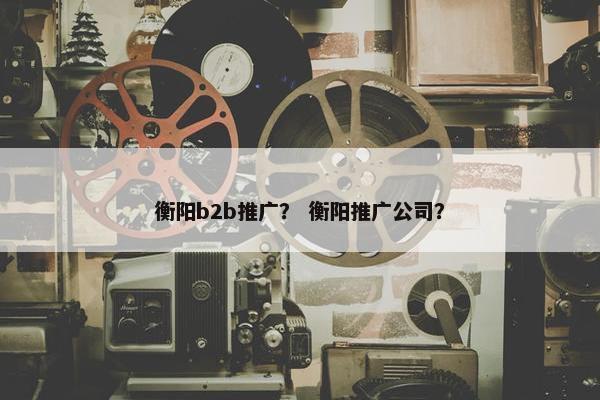 衡阳b2b推广？ 衡阳推广公司？