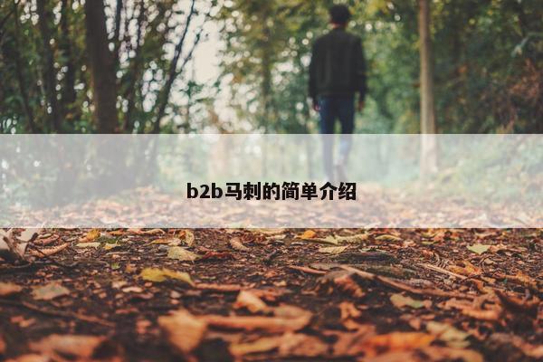b2b马刺的简单介绍