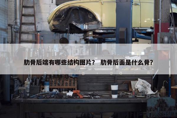 肋骨后端有哪些结构图片？ 肋骨后面是什么骨？