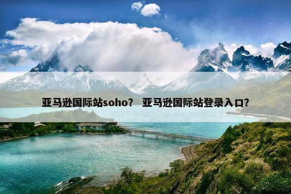 亚马逊国际站soho？ 亚马逊国际站登录入口？