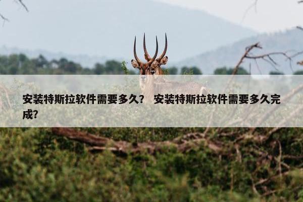 安装特斯拉软件需要多久? 安装特斯拉软件需要多久完成?