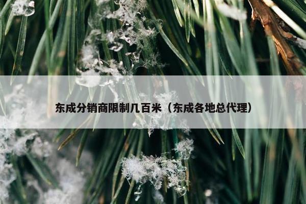 东成分销商限制几百米（东成各地总代理）