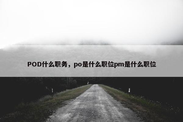 POD什么职务，po是什么职位pm是什么职位