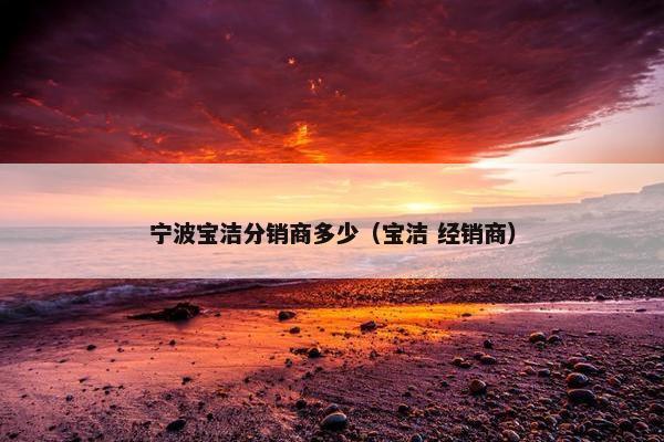 宁波宝洁分销商多少（宝洁 经销商）