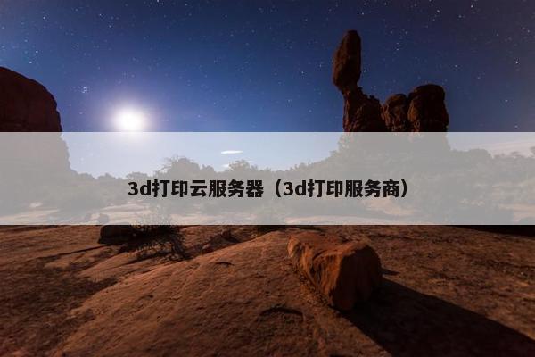 3d打印云服务器（3d打印服务商）