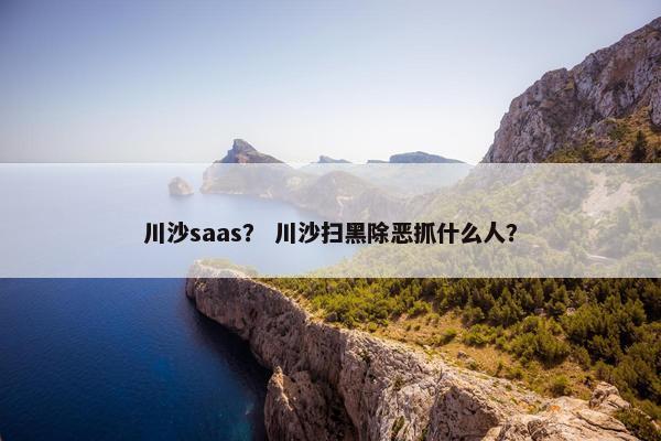 川沙saas? 川沙扫黑除恶抓什么人?