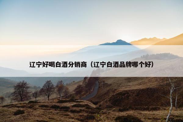 辽宁好喝白酒分销商（辽宁白酒品牌哪个好）