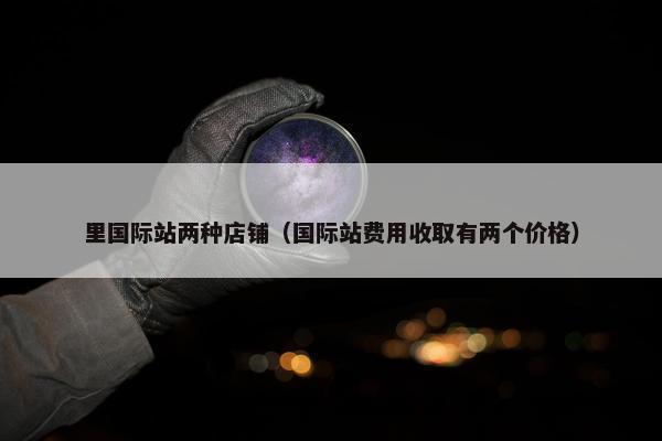 里国际站两种店铺（国际站费用收取有两个价格）
