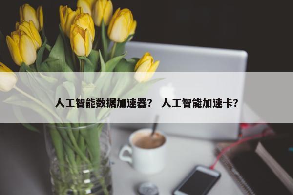 人工智能数据加速器？ 人工智能加速卡？