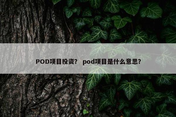 POD项目投资？ pod项目是什么意思？