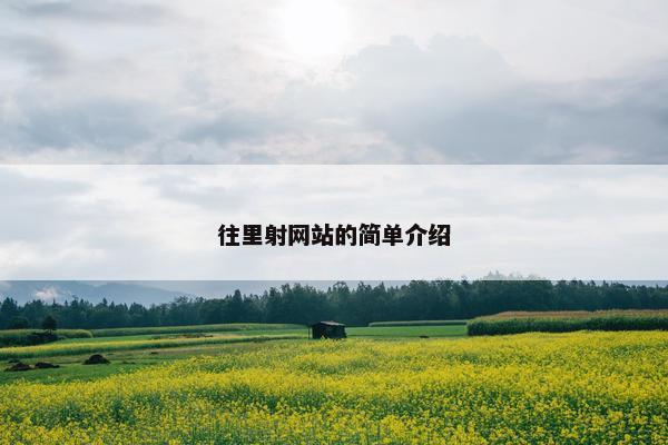 往里射网站的简单介绍