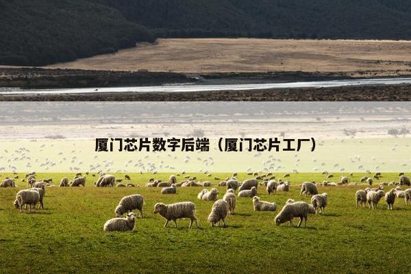厦门芯片数字后端（厦门芯片工厂）