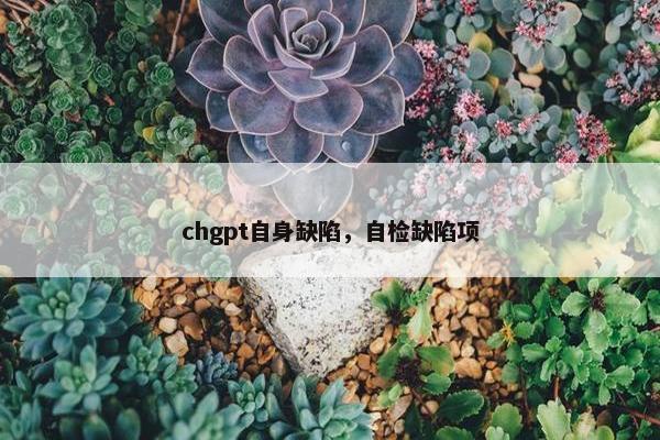 chgpt自身缺陷，自检缺陷项