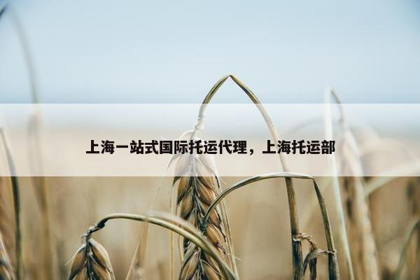 上海一站式国际托运代理，上海托运部