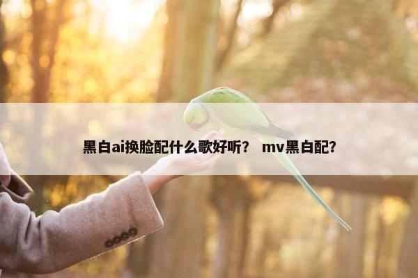 黑白ai换脸配什么歌好听？ mv黑白配？
