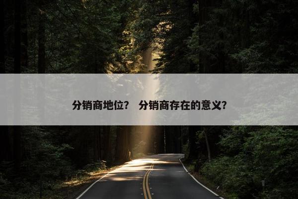 分销商地位？ 分销商存在的意义？
