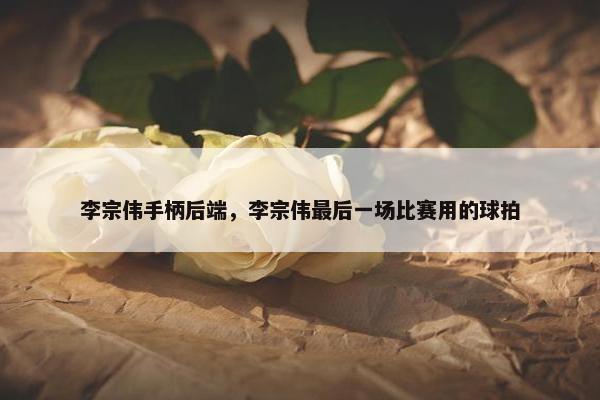 李宗伟手柄后端，李宗伟最后一场比赛用的球拍