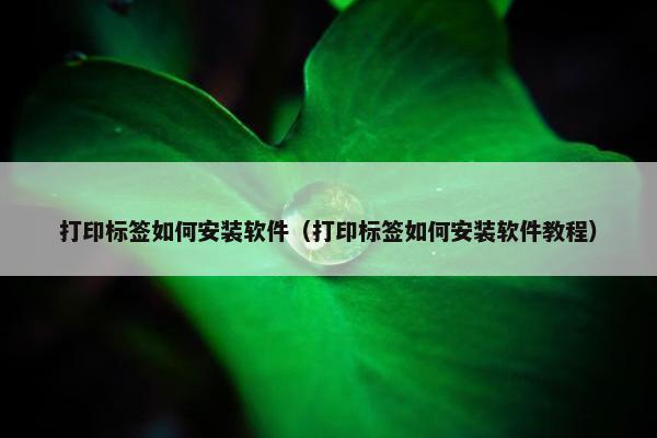 打印标签如何安装软件(打印标签如何安装软件教程)