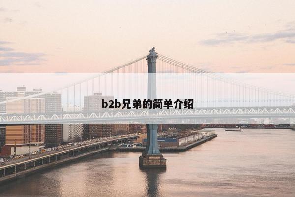 b2b兄弟的简单介绍
