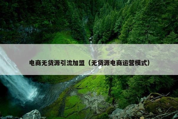电商无货源引流加盟（无货源电商运营模式）