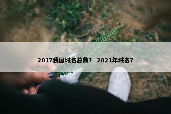 2017我国域名总数？ 2021年域名？