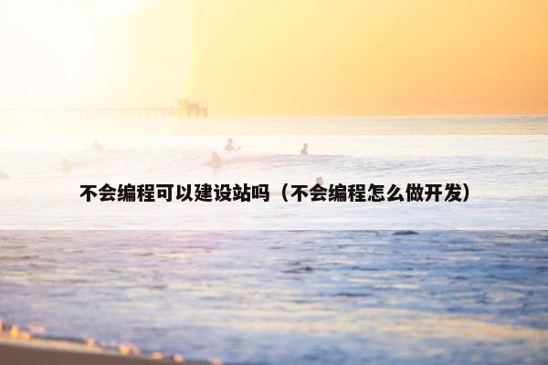 不会编程可以建设站吗（不会编程怎么做开发）