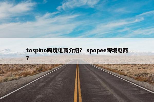 tospino跨境电商介绍? spopee跨境电商?