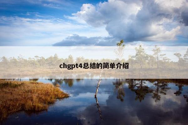 chgpt4总结的简单介绍
