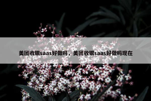 美团收银saas好做吗，美团收银saas好做吗现在