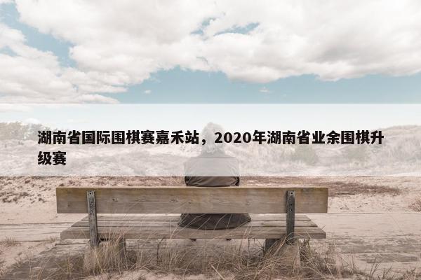 湖南省国际围棋赛嘉禾站，2020年湖南省业余围棋升级赛
