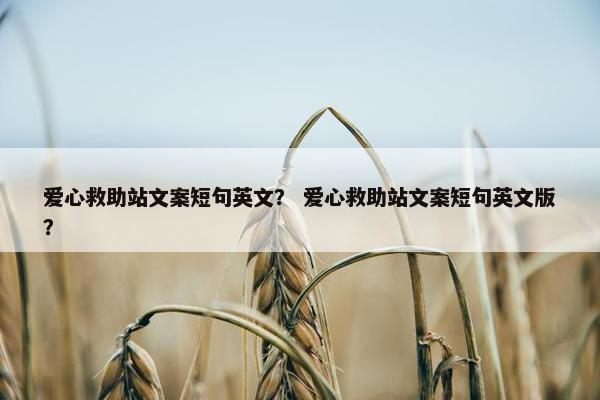 爱心救助站文案短句英文？ 爱心救助站文案短句英文版？