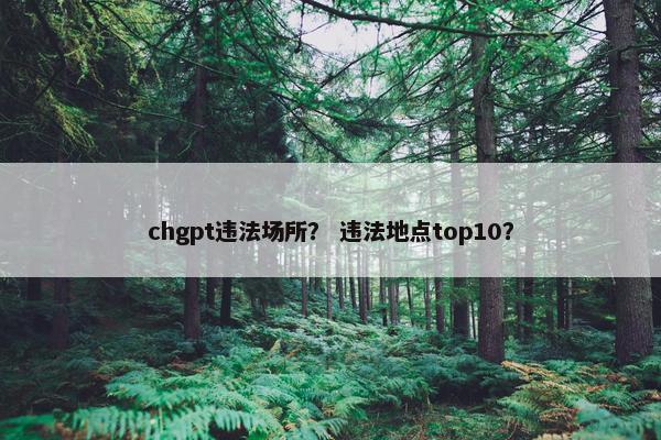 chgpt违法场所？ 违法地点top10？