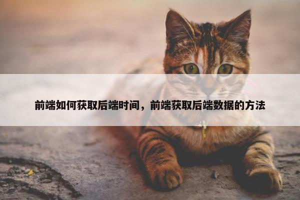 前端如何获取后端时间，前端获取后端数据的方法