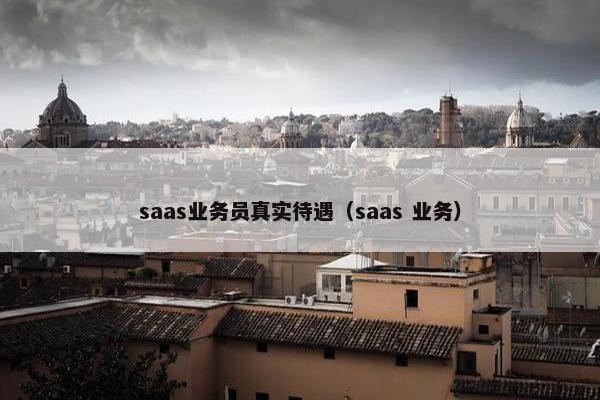 saas业务员真实待遇（saas 业务）
