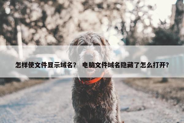 怎样使文件显示域名？ 电脑文件域名隐藏了怎么打开？
