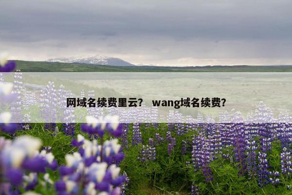 网域名续费里云? wang域名续费? 网域名续费里云? wang域名续费?