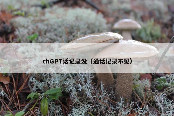 chGPT话记录没(通话记录不见) chGPT话记录没(通话记录不见)