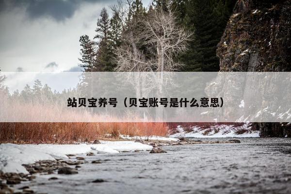 站贝宝养号(贝宝账号是什么意思)