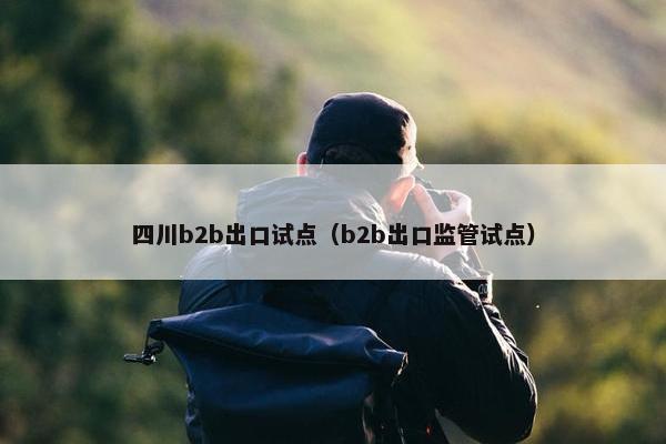 四川b2b出口试点(b2b出口监管试点)