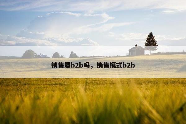 销售属b2b吗，销售模式b2b