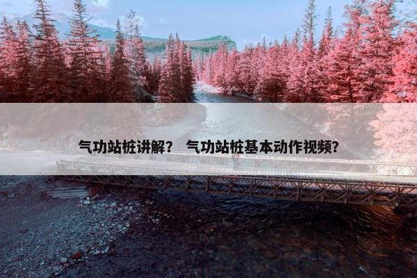 气功站桩讲解？ 气功站桩基本动作视频？