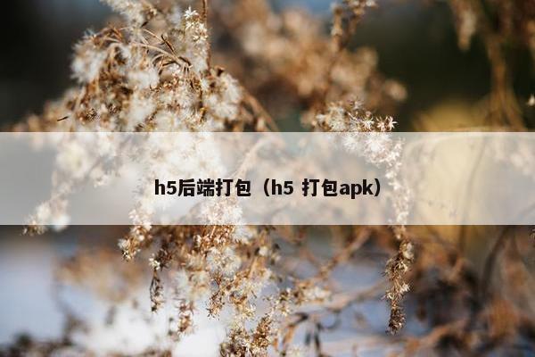h5后端打包（h5 打包apk）