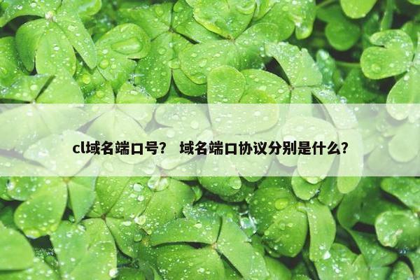 cl域名端口号？ 域名端口协议分别是什么？